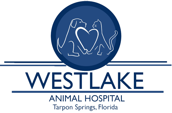 Westlake Animal Hospital Home